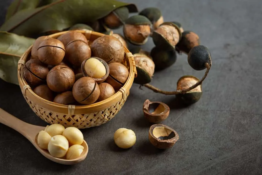 Makademya fındığı 500g