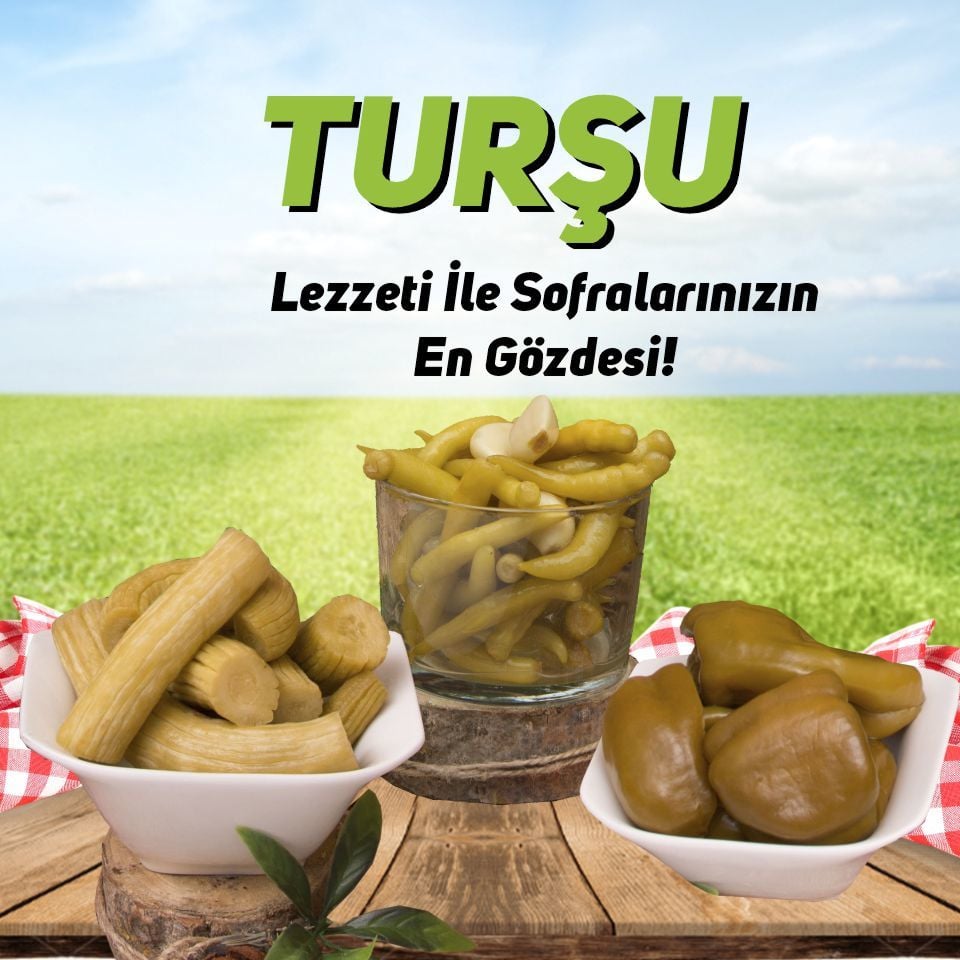 Turşu